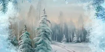 В гости к нам зима пришла