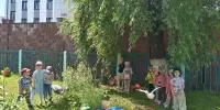 Весёлое экологическое путешествие